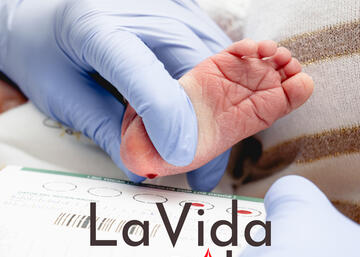 La Vida en una Gota